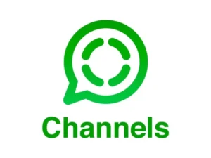 2025 में WhatsApp चैनल से पैसे कैसे कमाए - जाने 10 आसान तरीके और डेली ₹1000 कमाए 1 Whatsapp Channel Kya Hai