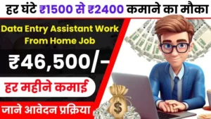 Data Entry Assistant Work From Home Job हर घंटे ₹1500 से ₹2400 तक कमाने के मौका, जाने आवेदन की पूरी जानकारी